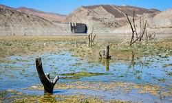 افت ۵۶۰ میلیون متر مکعبی آب سدهای تهران