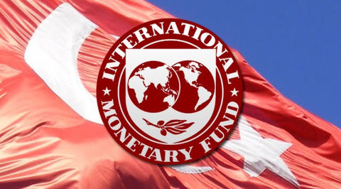 اختلاف بانک مرکزی ترکیه با IMF بر سر میزان ذخایر ارزی