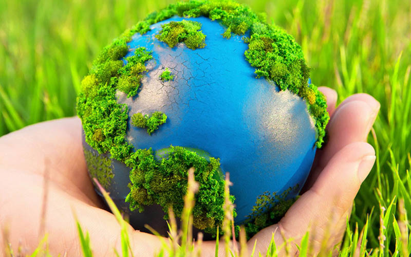 حفظ تنوع محیط زیست یکی از اهداف کنوانسیون تنوع محیط زیستی