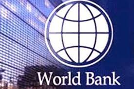 میرشجاعیان نماینده ایران در بانک جهانی شد