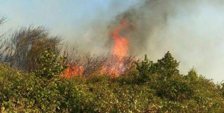 فرمانده یگان حفاظت محیط‌زیست: آتش‌سوزی ارسباران عمدی بود