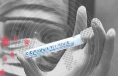 پروژه تحقیقاتی تاثیرات کرونا ویروس جدید بر فضای کسب و کار
