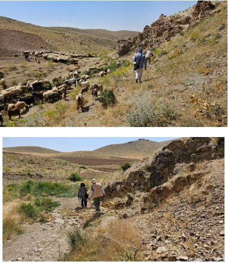 بازدید کمیته مشترک توافقنامه بخش معدن از برگه قره‌توره (دیواندره ۱)